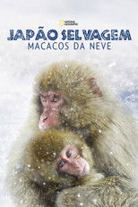 Wild Japan: Snow Monkeys