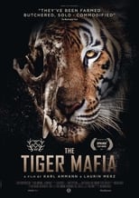 Poster for The Tiger Mafia 