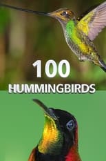 Poster for 100 Hummingbirds