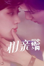 相亲遇到小奶狗 poster