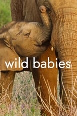 Poster for Wild Babies Season 1