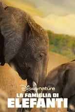 Poster di La famiglia di elefanti
