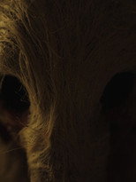 Poster for With Sticks and Stones