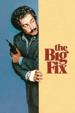 Poster for The Big Fix 