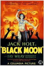 Poster for Black Moon 