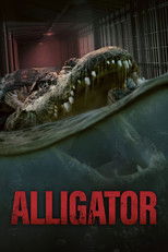 Alligator