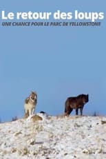 Poster for Die Rückkehr der Wölfe: Das Wunder im Yellowstone-Nationalpark
