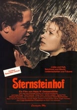Poster for The Sternstein Manor