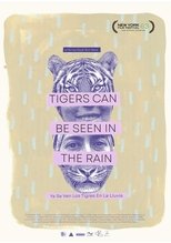 Tigers Can Be Seen In The Rain