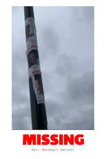 MISSING poster