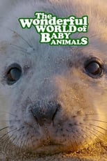 Poster for The Wonderful World of Baby Animals