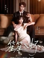 笙笙入怀 poster
