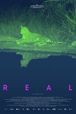 Real (2024)