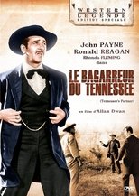 Le Bagarreur Du Tennessee poster