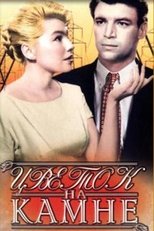 Квітка на камені (1962)