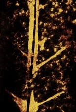 Deriva amorfológica: bacia de Cubatão Deriva amorfológica: bacia de Cubatão