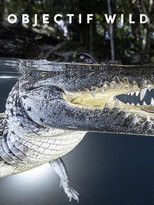 Objectif Wild