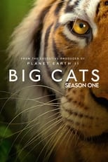 Poster for Big Cats Season 1
