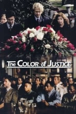 Poster for Color of Justice