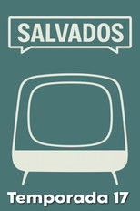 Sezon 17 afişi