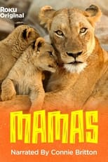 Poster for Mamas Season 1