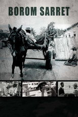 Borom sarret