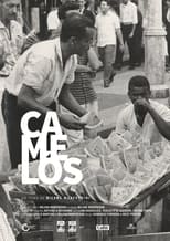 Poster for Camelôs 