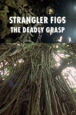 Poster for Strangler Figs: The Deadly Grasp