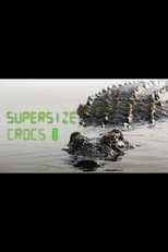 Supersize Crocs - Finding the World's Largest Crocodiles poster
