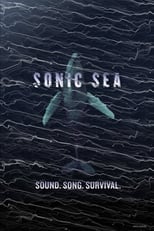 Poster for Sonic Sea 