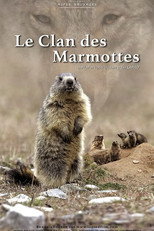 A Marmot's Life poster