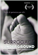 Surrogacy Underground