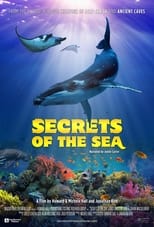 Poster for Secrets of the Sea 