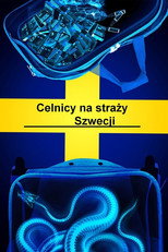 Celnicy na straży Szwecji