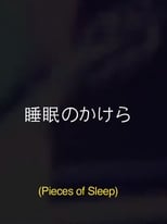 Poster for Pieces Of Sleep: The 1993 Japan Tour Re-Imagined