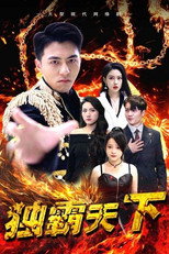 独霸天下 poster