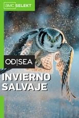 Invierno salvaje poster