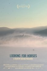 Looking for Horses main poster