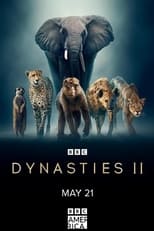 Dynasties II