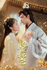良医锦色 poster