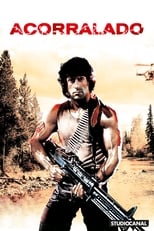 Rambo 1 (MKV) Español Torrent