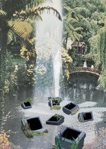 Water Feature