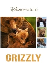 Grizzly serie streaming