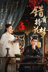 错有持花梦 poster