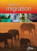 Poster for Disneynature: Migration