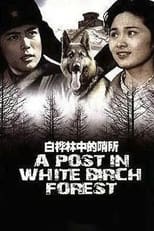 Poster for A Post in White Birch Forest 