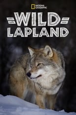 Poster for Wild Lapland