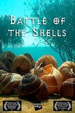 Guerra das conchas poster