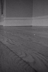 The House Is Empty