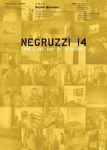 Poster for Negruzzi 14 